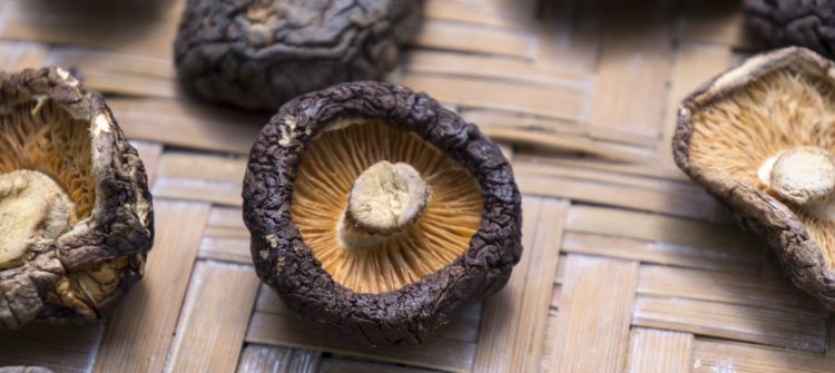 Poznaj shiitake – sprawdź 6 argumentów, które przekonają cię do tych egzotycznych grzybów