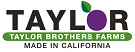 TAYLOR